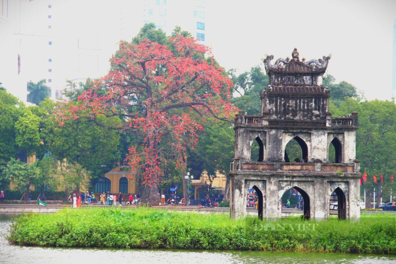 Bong Ha Noi Hostel Hanoi Exterior foto